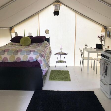 Vines And Puppies Glamping Hideaway Ξενοδοχείο Jade City Εξωτερικό φωτογραφία