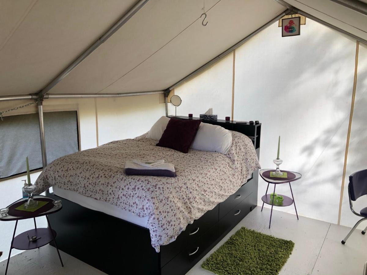 Vines And Puppies Glamping Hideaway Ξενοδοχείο Jade City Εξωτερικό φωτογραφία